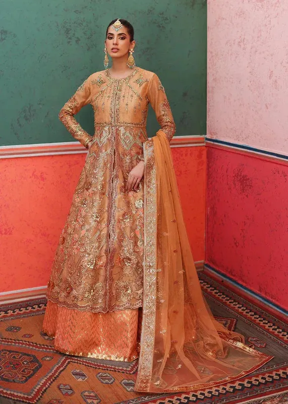 Waqas Shah Nur Jahan Peach Tissue – view 1 – Poshaq