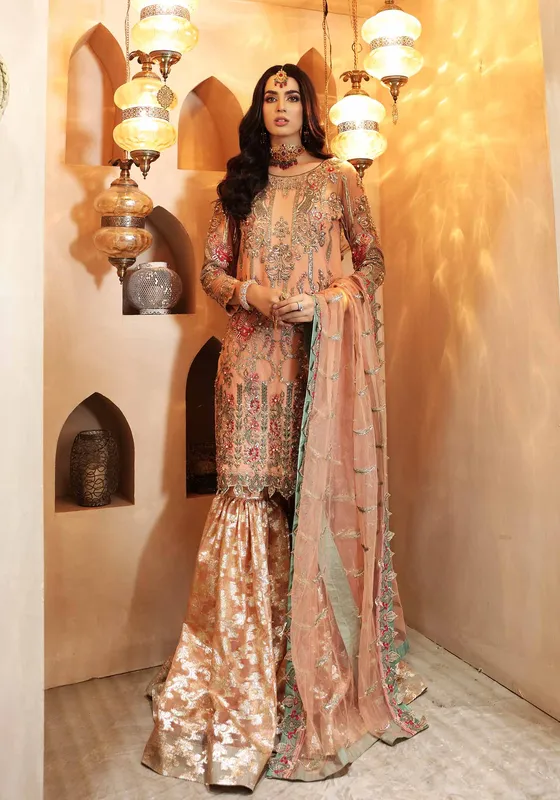 Waqas Shah Ishq Naama Peach Net – view 1 – Poshaq
