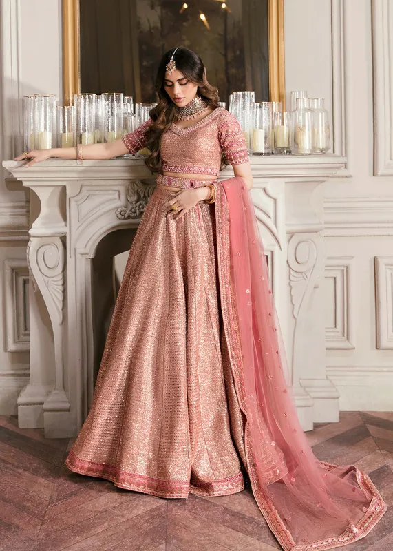 Waqas Shah Malika - E - Elizabeth Tea Pink Net – view 1 – Poshaq