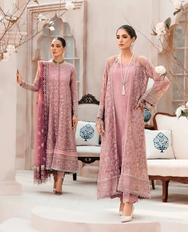 Xenia Formals Raahi Luxury Formals Pink Chiffon – view 1 – Poshaq