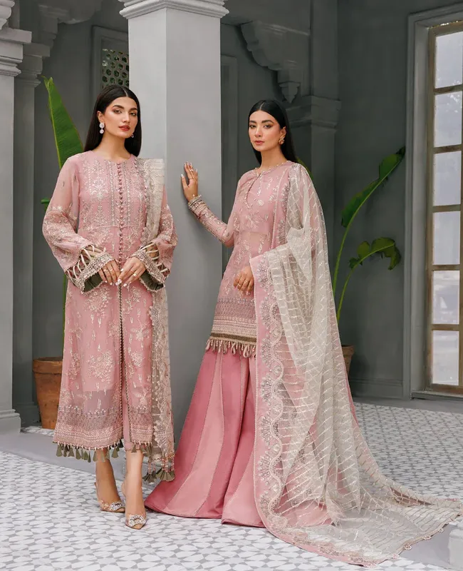 Xenia Formals Raahi Luxury Formals Pink Chiffon – view 1 – Poshaq