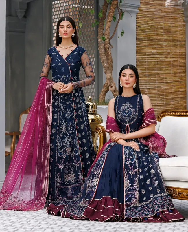 Xenia Formals Raahi Luxury Formals Navy Blue Organza – view 1 – Poshaq