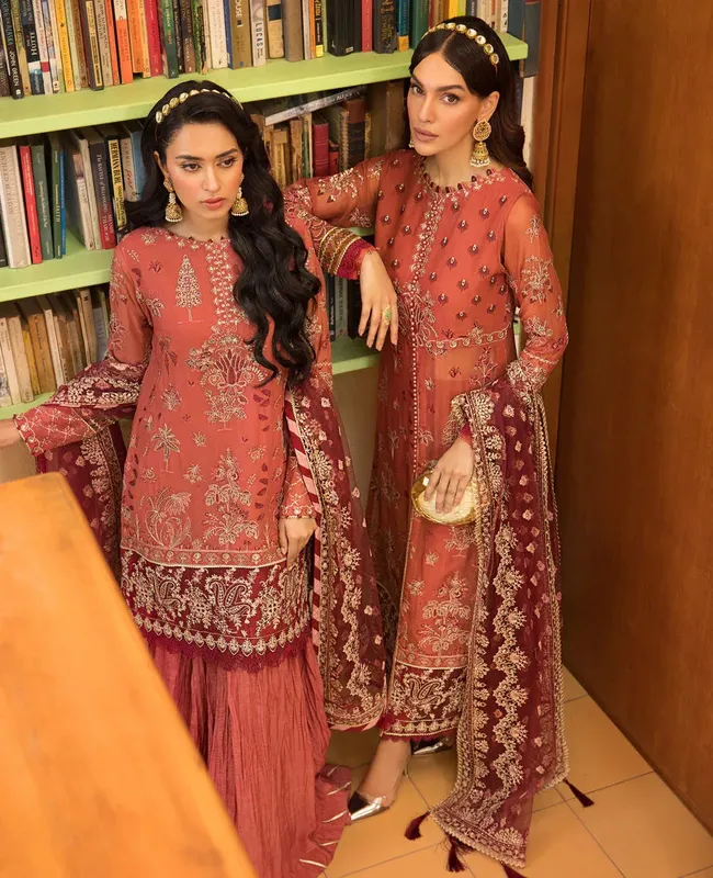 Xenia Formals Raahi Luxury Formals Rust Chiffon – view 1 – Poshaq