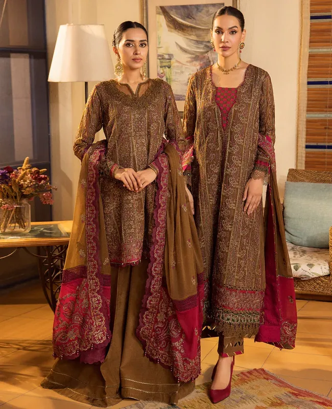 Xenia Formals Raahi Luxury Formals Brown Chiffon – view 1 – Poshaq