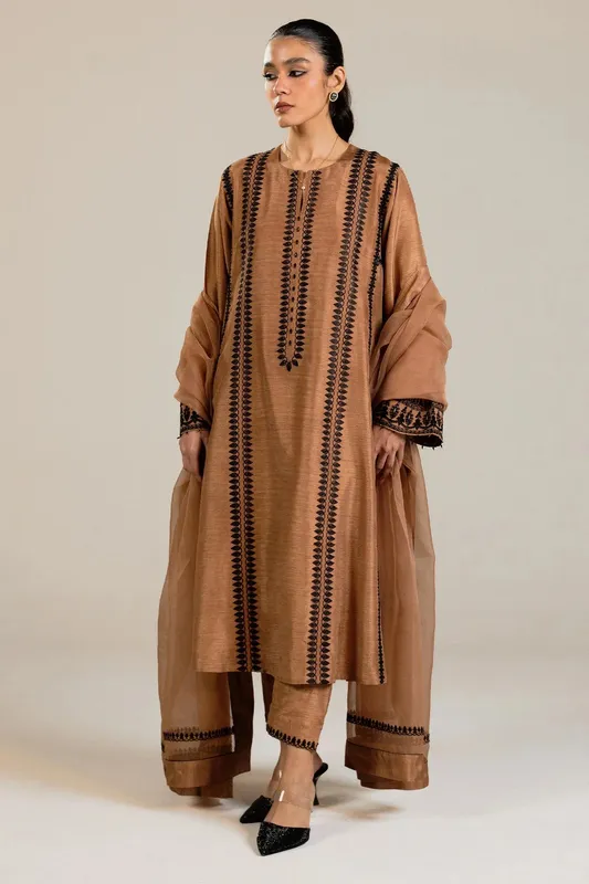 Zara Shahjahan Festive Collection Brown Raw Silk – view 1 – Poshaq