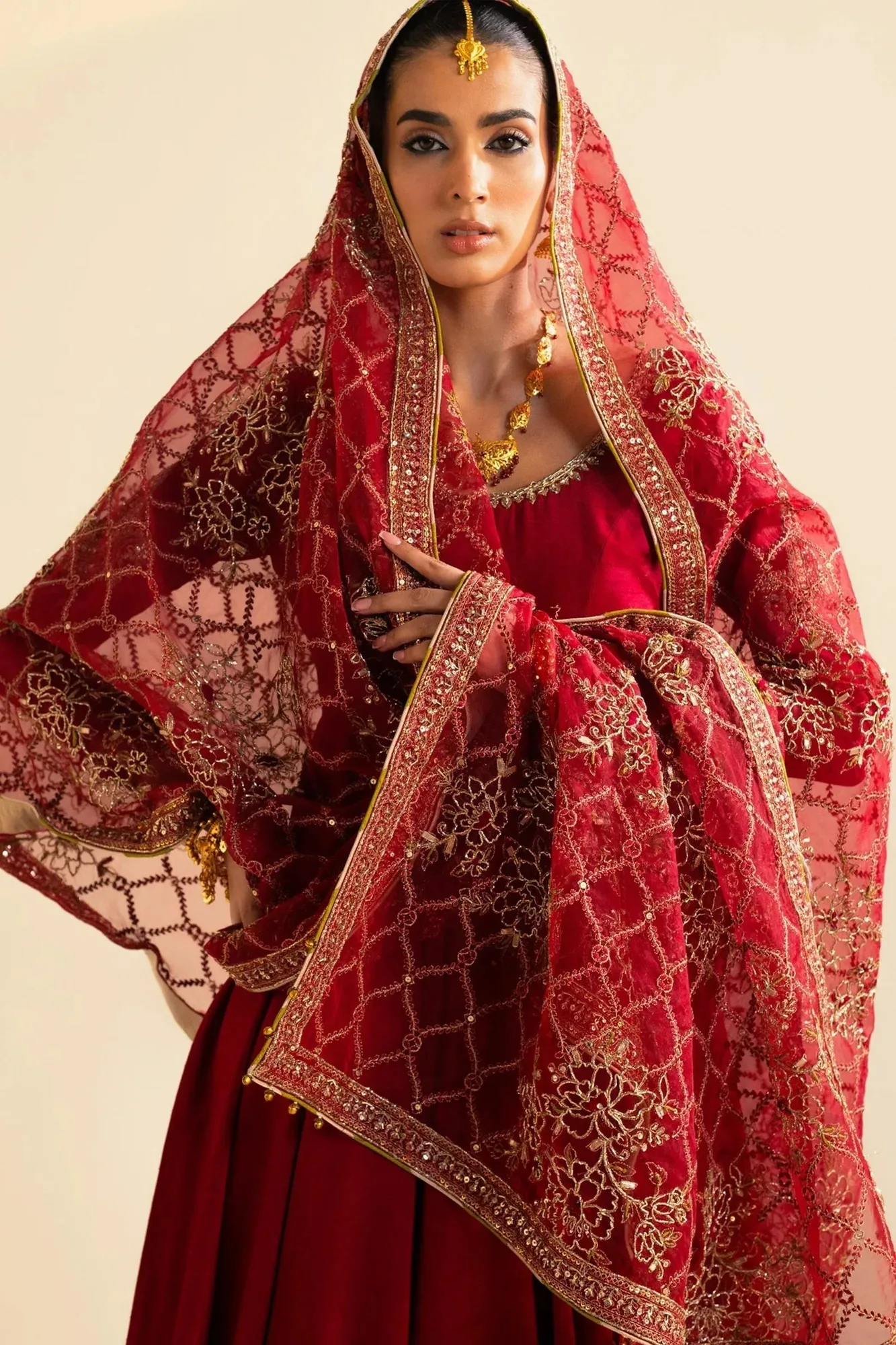 Zara Shahjahan Wedding Formals 2024 Red Raw Silk – view 6 – Poshaq
