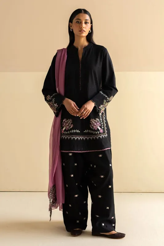 Zara Shahjahan Pret Wear Black Georgette – view 1 – Poshaq