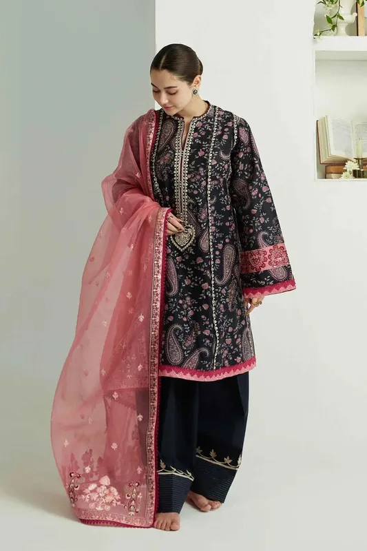 Zara Shahjahan Organza – view 1 – Poshaq