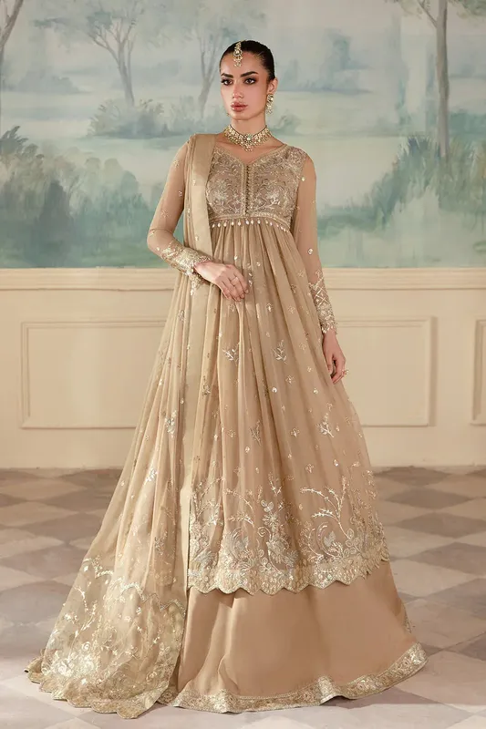 Zarposh Amirah Collection Organza – view 1 – Poshaq
