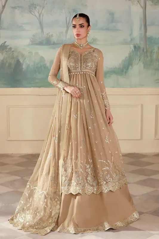 Zarposh Organza – view 1 – Poshaq