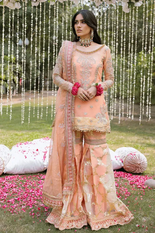 Zarposh Organza – view 1 – Poshaq
