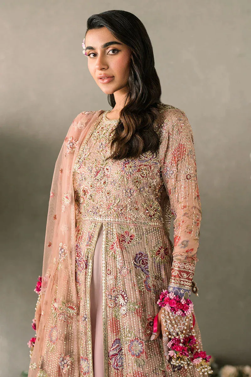 Mushq Matani Evening Luxury Chiffon Peach Chiffon – view 3 – Poshaq