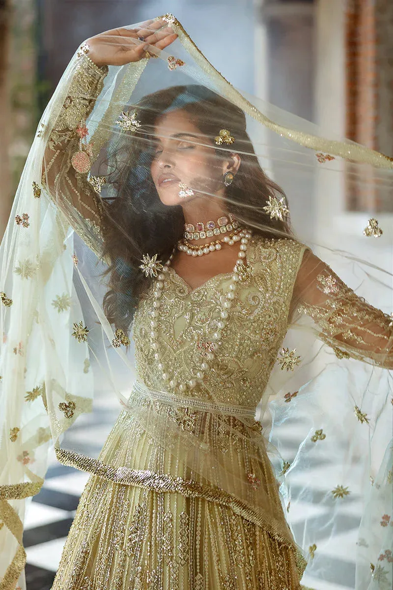 Mushq Stargust Wedding Collection 24 Organza – view 8 – Poshaq
