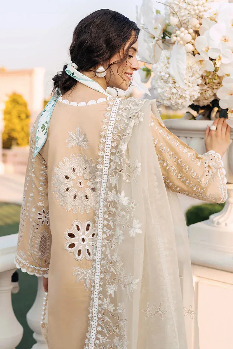 Mushq La Toscana Casual Pret 24 Lawn – view 9 – Poshaq