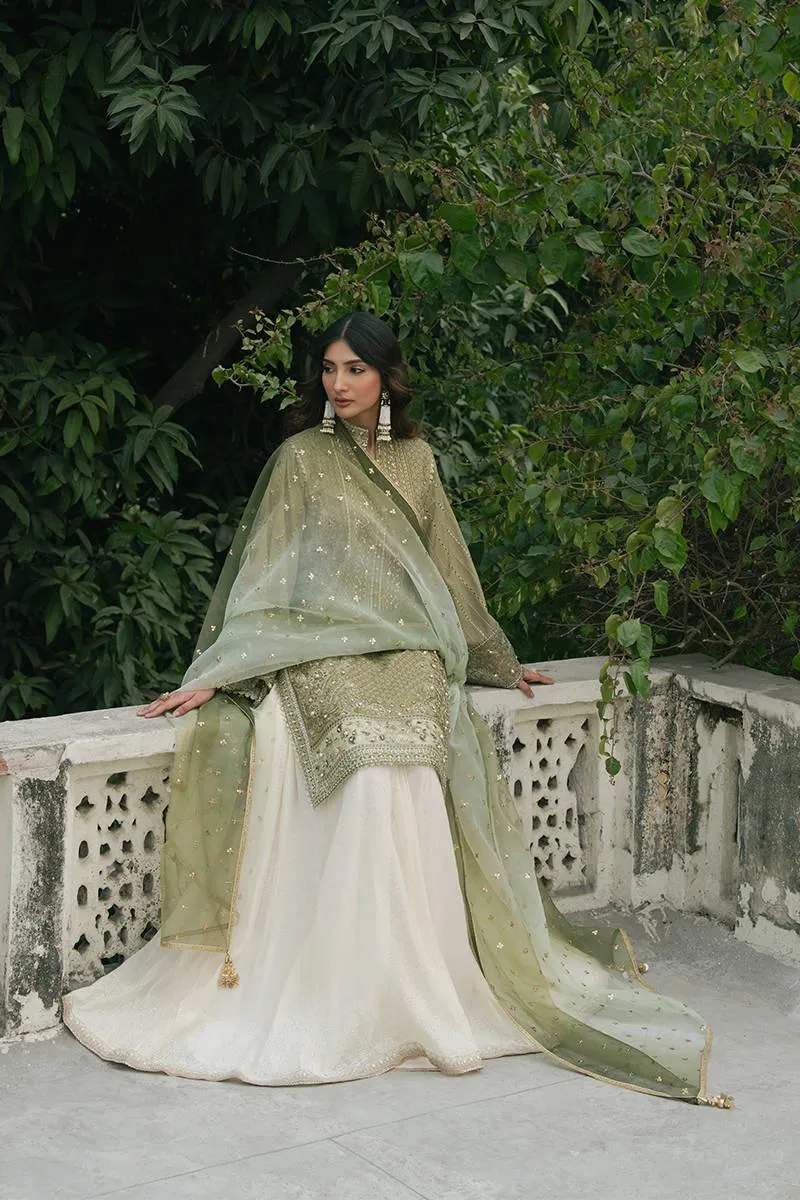 MNR Ashiyana Festive Eid Collection 25 Olive Organza – view 5 – Poshaq