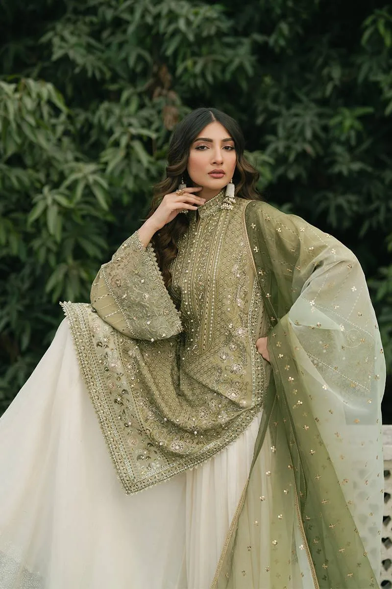 MNR Ashiyana Festive Eid Collection 25 Olive Organza – view 6 – Poshaq