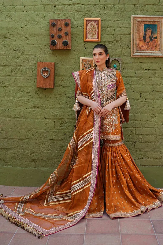 MNR Zarlish Festive 25 Rust Organza – view 1 – Poshaq