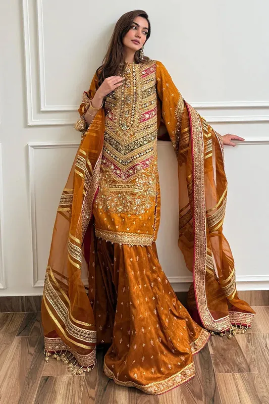 MNR Zarlish Festive 25 Rust Organza – view 1 – Poshaq