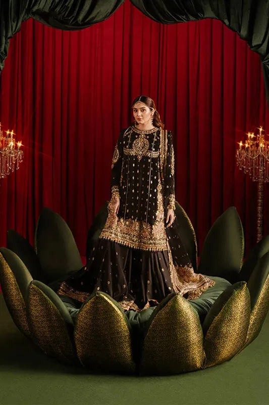 MNR Zarlish Festive Formals Black Organza – view 1 – Poshaq