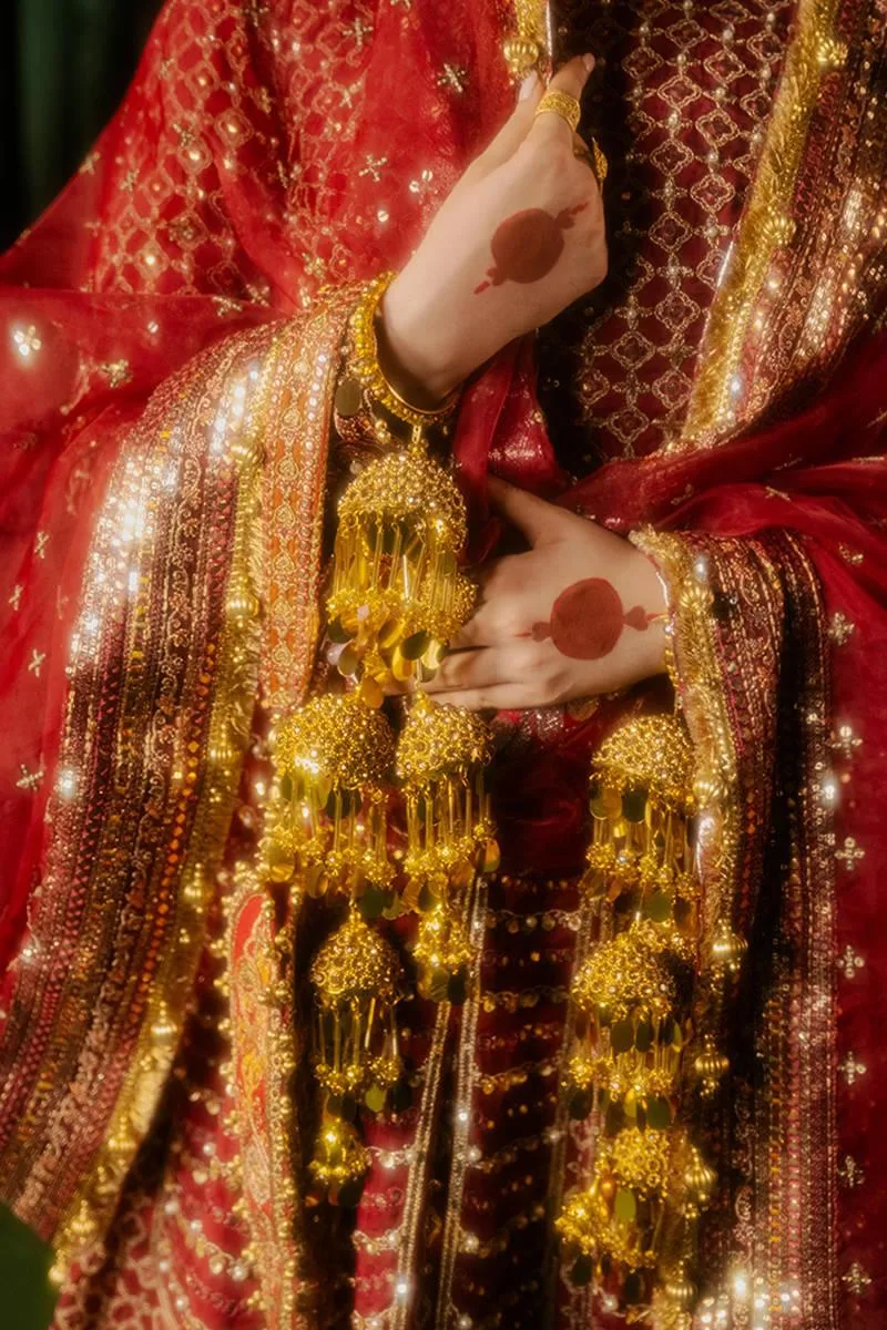 MNR Zarlish Festive Formals Maroon Organza – view 7 – Poshaq