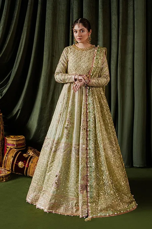 MNR Zarlish Festive Formals Pistachio Green Organza – view 1 – Poshaq