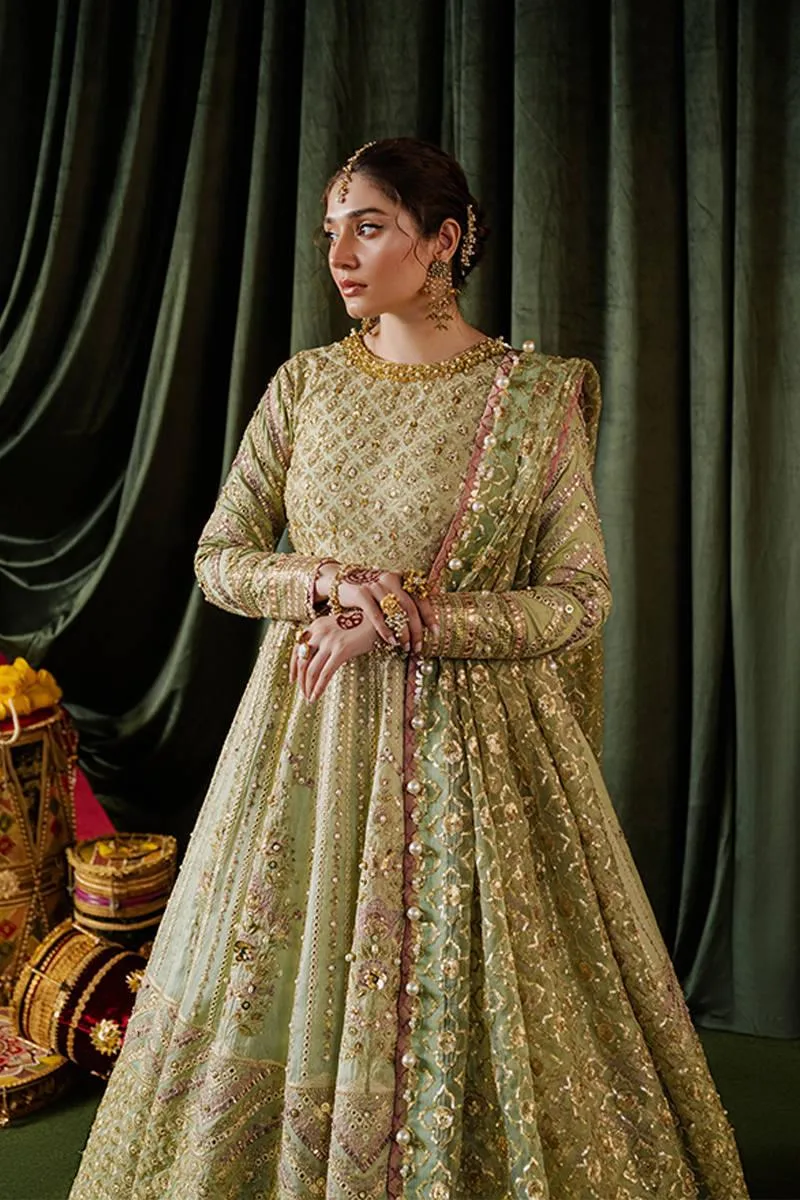 MNR Zarlish Festive Formals Pistachio Green Organza – view 3 – Poshaq