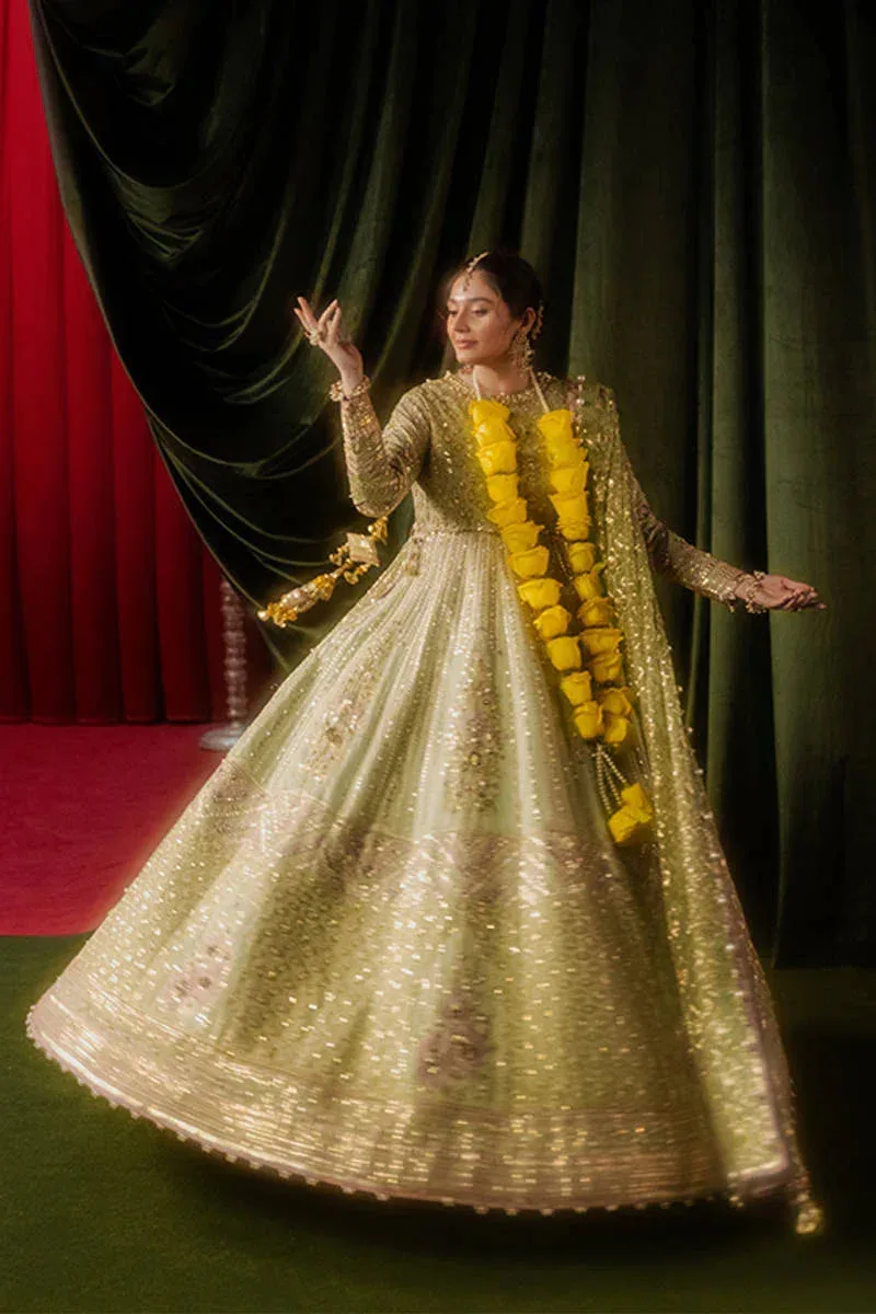 MNR Zarlish Festive Formals Pistachio Green Organza – view 6 – Poshaq