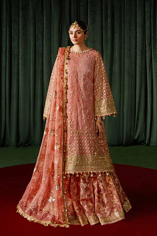 MNR Zarlish Festive Formals Soft Pink Organza – view 1 – Poshaq