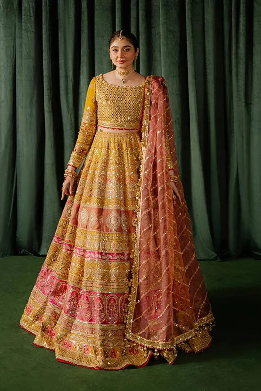 MNR Zarlish Festive Formals Mustard Organza – view 1 – Poshaq