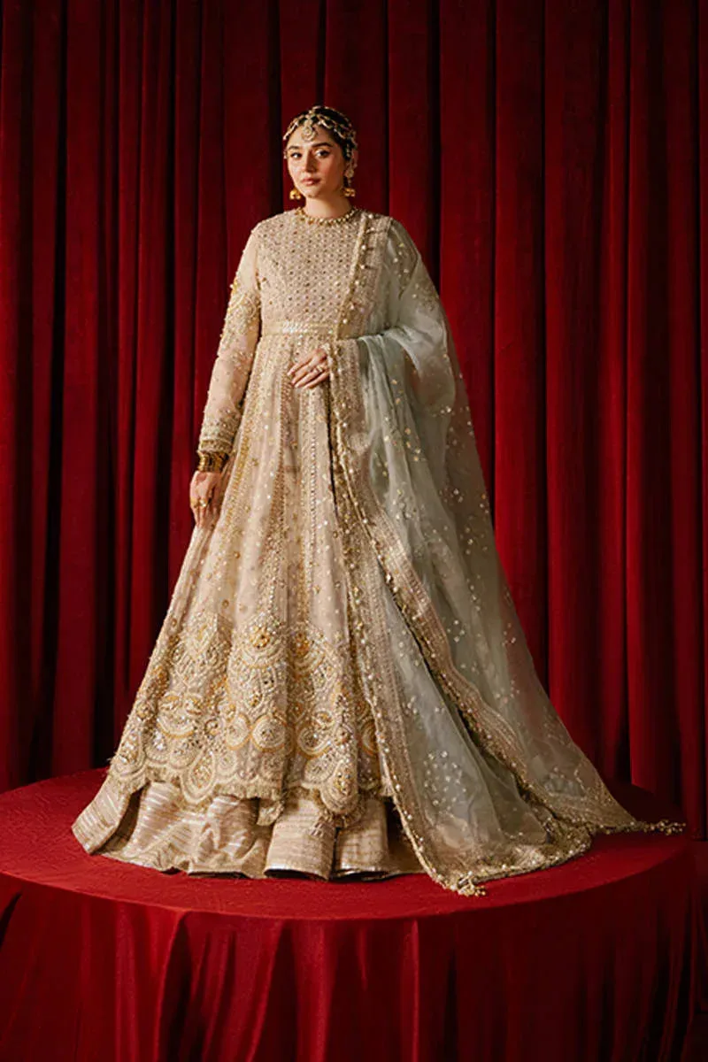 MNR Zarlish Festive Formals Beige Organza – view 1 – Poshaq