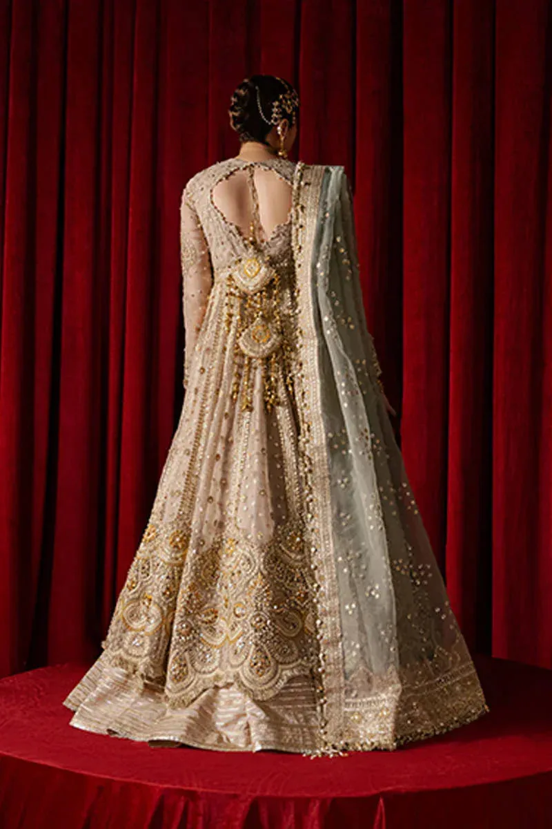 MNR Zarlish Festive Formals Beige Organza – view 2 – Poshaq