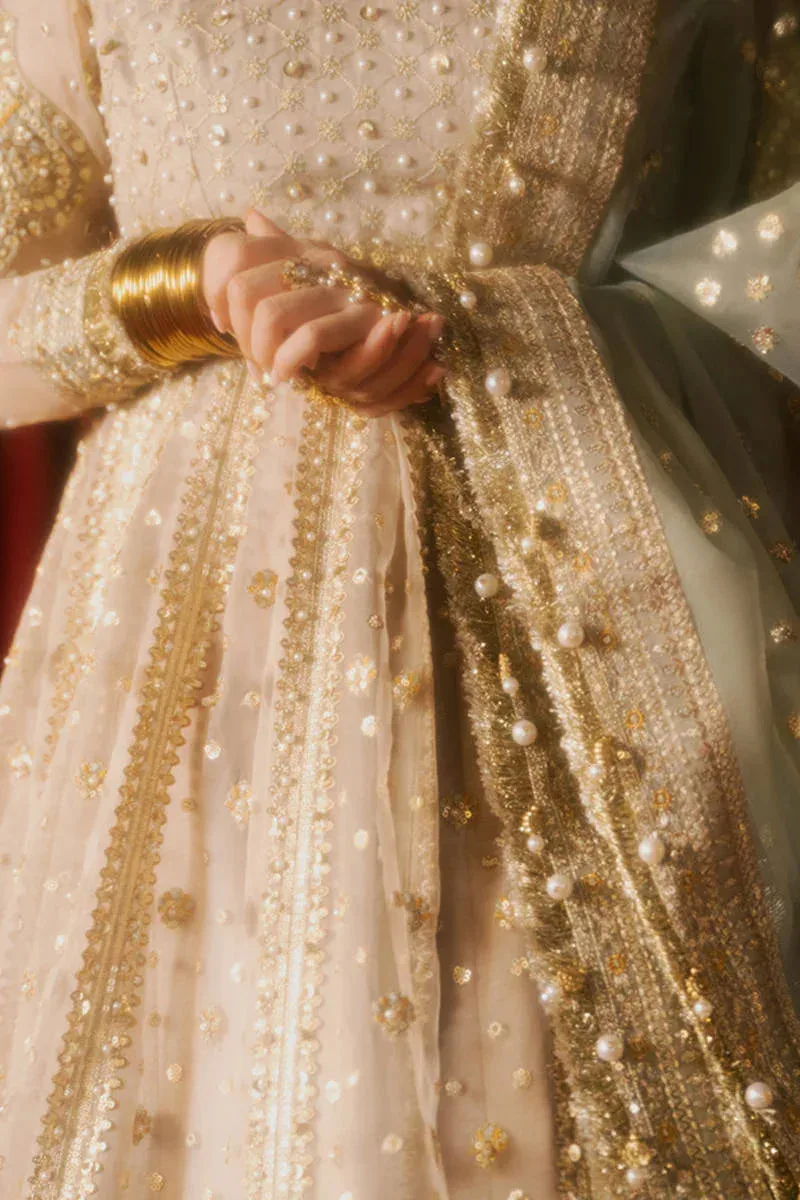 MNR Zarlish Festive Formals Beige Organza – view 3 – Poshaq