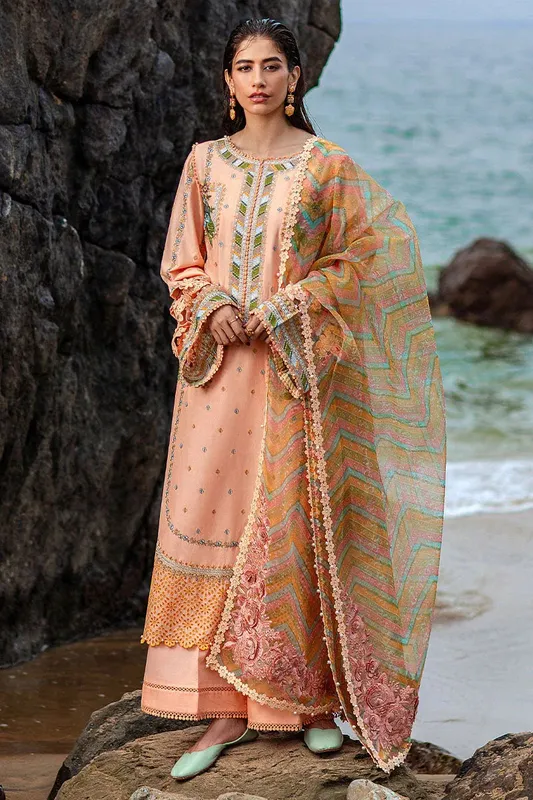 MNR Festive Lawn 24 Peach Organza – view 1 – Poshaq