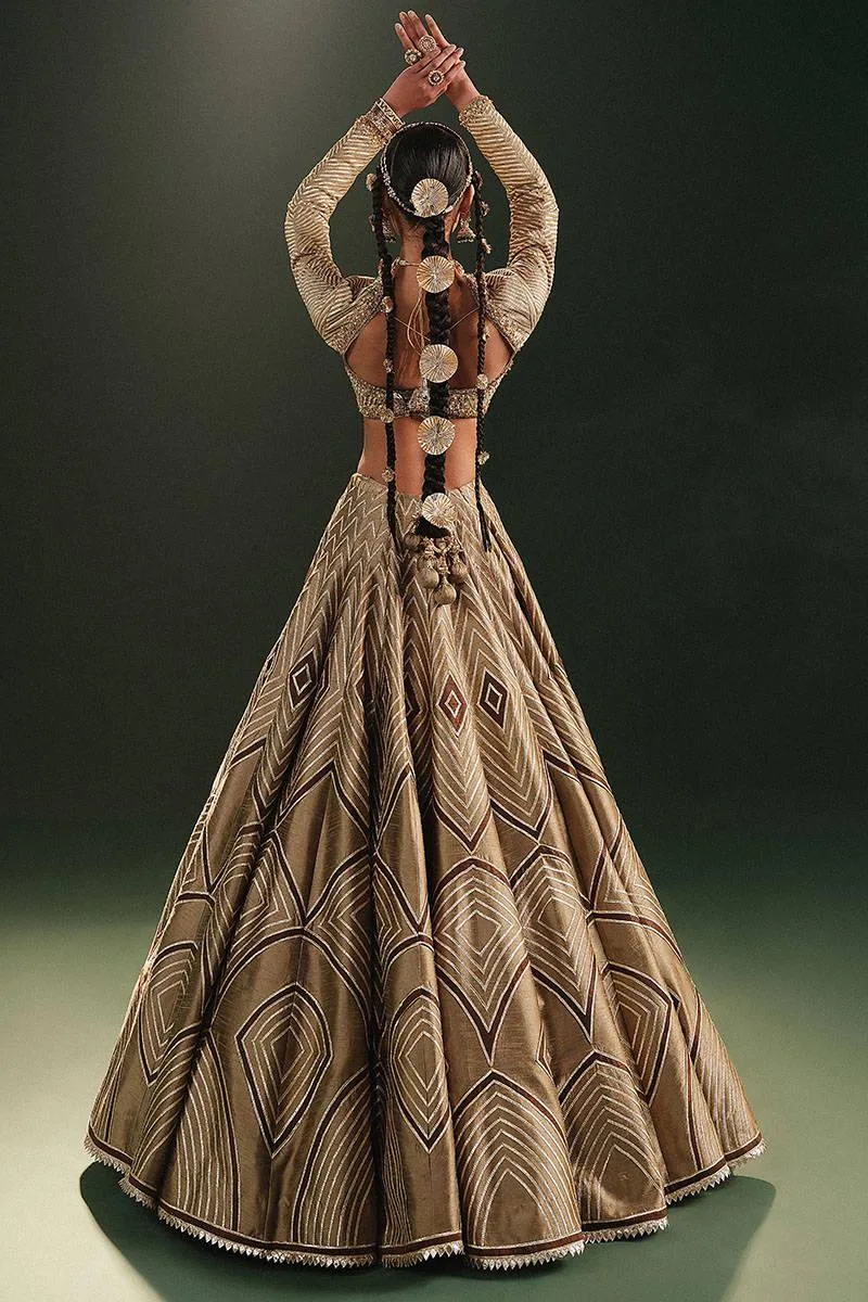 MNR Gota Shota Vol 2 Brown Organza – view 2 – Poshaq