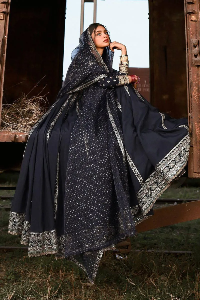 MNR Eid Festive 24 Black Organza – view 7 – Poshaq