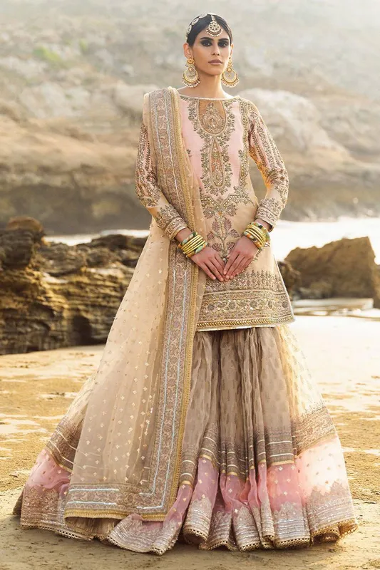 MNR Gehraiyaan Shaadi Collection Pink Organza – view 1 – Poshaq
