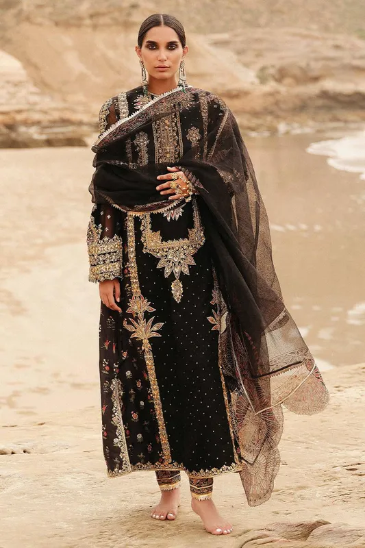 MNR Gehraiyaan Shaadi Collection Black Organza – view 1 – Poshaq