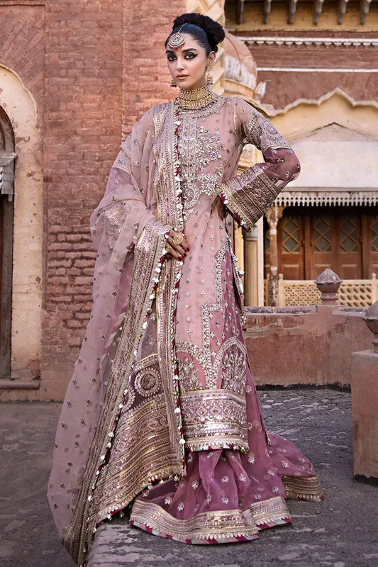 MNR Talpur Dynasty 23 Pink Organza – view 1 – Poshaq