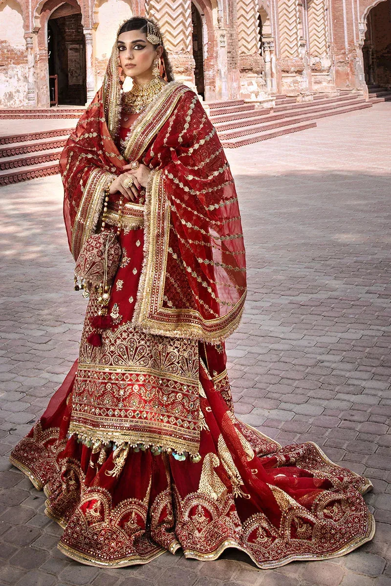 MNR Talpur Dynasty 23 Gold Organza – view 1 – Poshaq