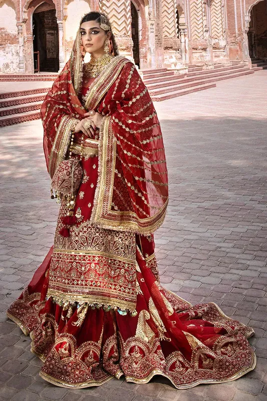 MNR Talpur Dynasty 23 Gold Organza – view 1 – Poshaq