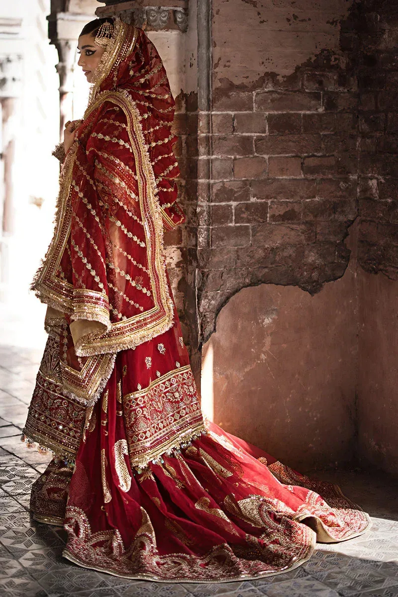 MNR Talpur Dynasty 23 Gold Organza – view 2 – Poshaq