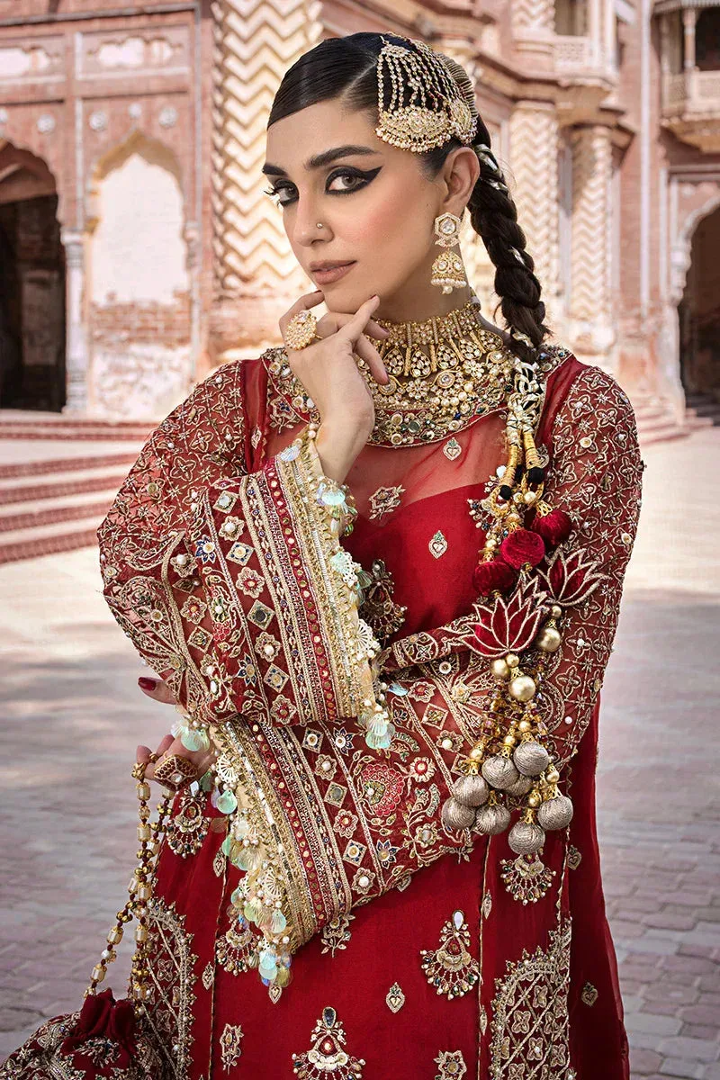 MNR Talpur Dynasty 23 Gold Organza – view 3 – Poshaq
