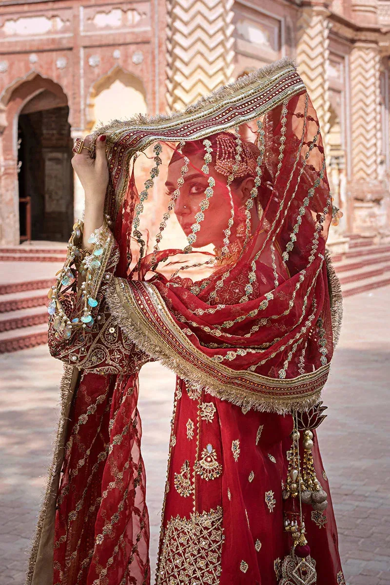 MNR Talpur Dynasty 23 Gold Organza – view 5 – Poshaq
