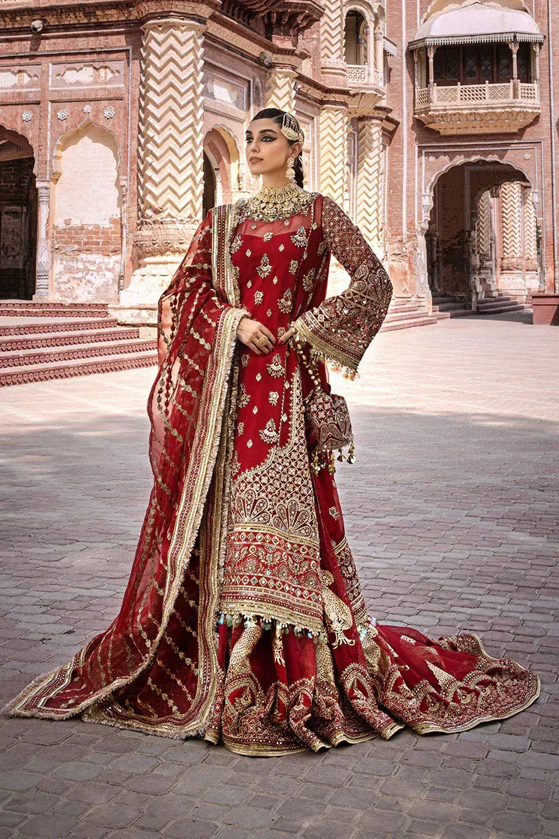 MNR Talpur Dynasty 23 Gold Organza – view 7 – Poshaq