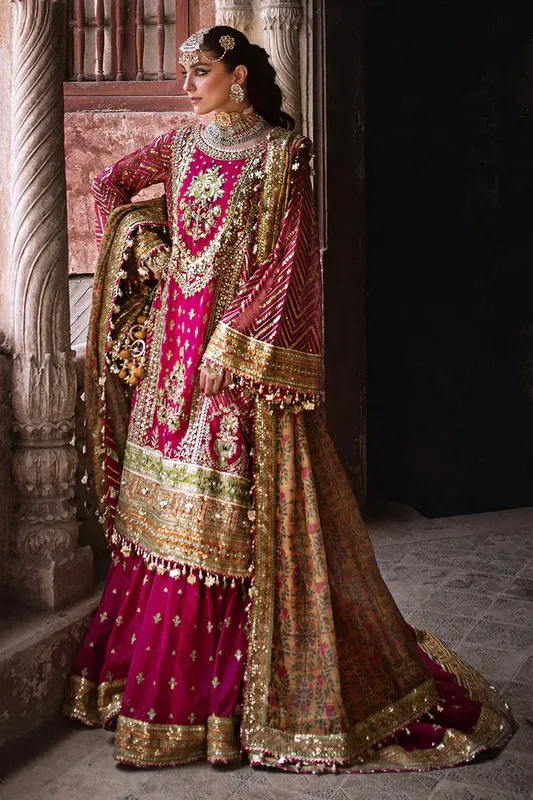 MNR Talpur Dynasty 23 Mustard Organza – view 1 – Poshaq
