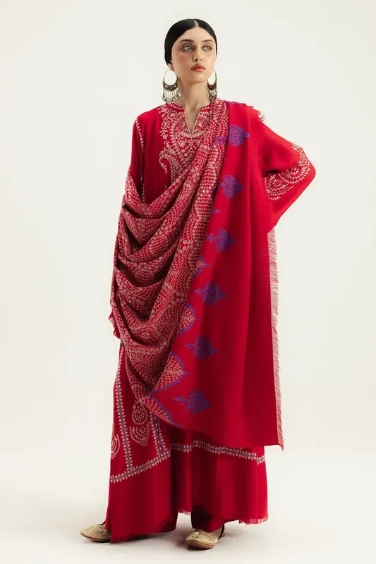 Zara Shahjahan Blue Organza – view 1 – Poshaq