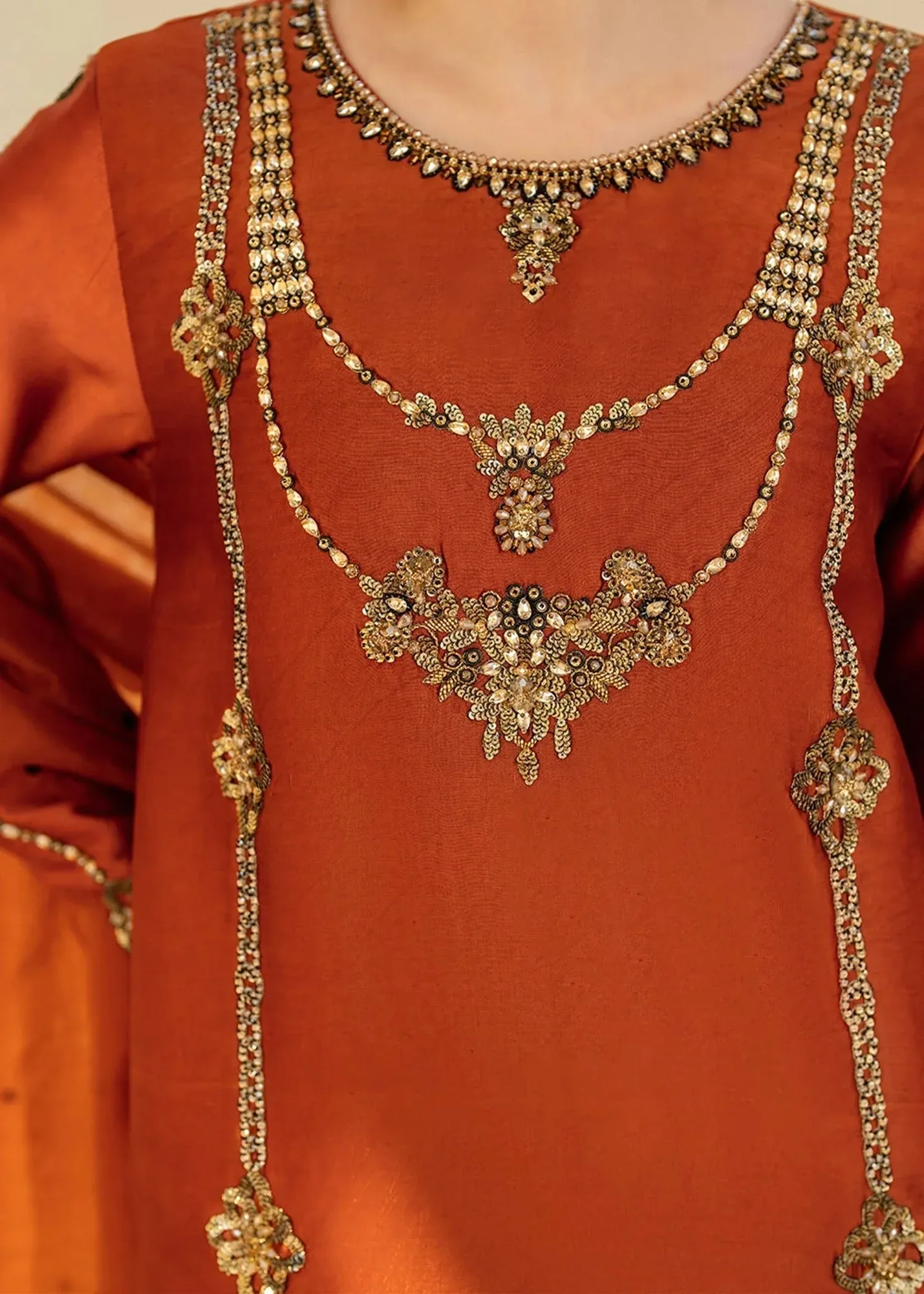 Dastoor Maahi Luxury Pret 25 Rust Organza – view 5 – Poshaq