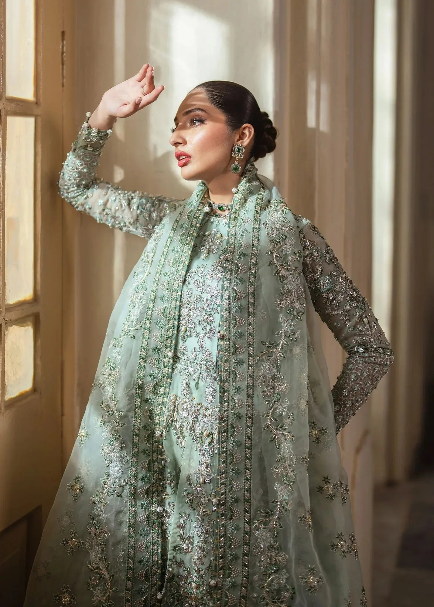 Dastoor Shehnai Bridals Collection 24 Silver Organza – view 5 – Poshaq