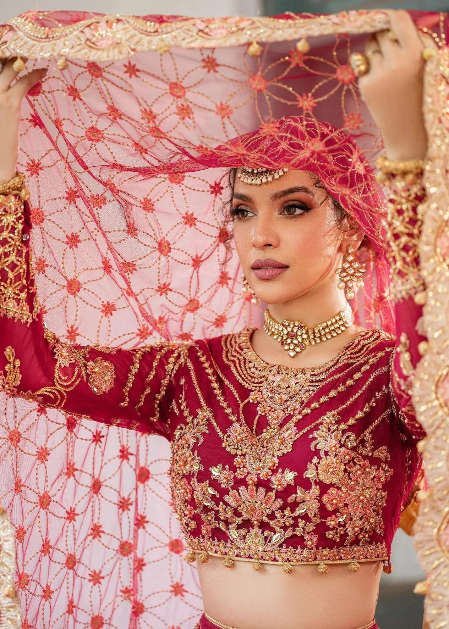 Dastoor Shehnai Bridals Collection 24 Net – view 5 – Poshaq
