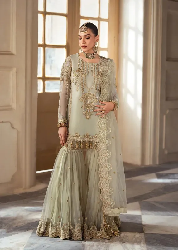 Dastoor Shehnai Bridals Collection 24 Beige Organza – view 1 – Poshaq